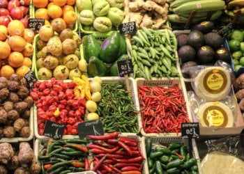 Global Organic Food Additives Market 2019