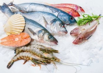 What does Austevoll Seafood ASA’s (OB: AUSS) Balance Sheet Tell Us About Its Future?