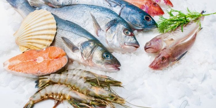 What does Austevoll Seafood ASA’s (OB: AUSS) Balance Sheet Tell Us About Its Future?
