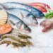 What does Austevoll Seafood ASA’s (OB: AUSS) Balance Sheet Tell Us About Its Future?