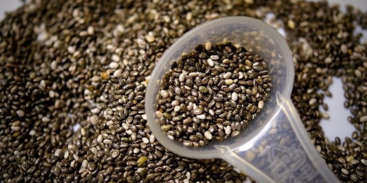 Organic Chia Seeds Market Top Key Players
