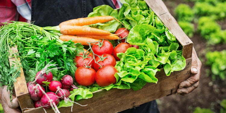 Organic Food and Beverages Market really worth USD 323.56 Billion