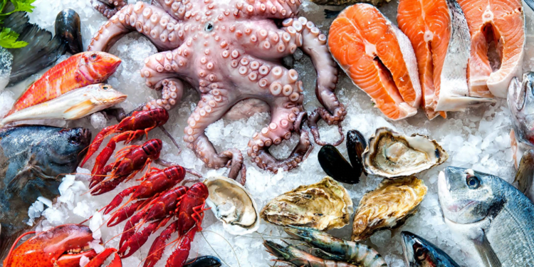 ‘Slave ships’ putting seafood on dining tables