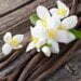 Global Vanilla Extracts Market Size