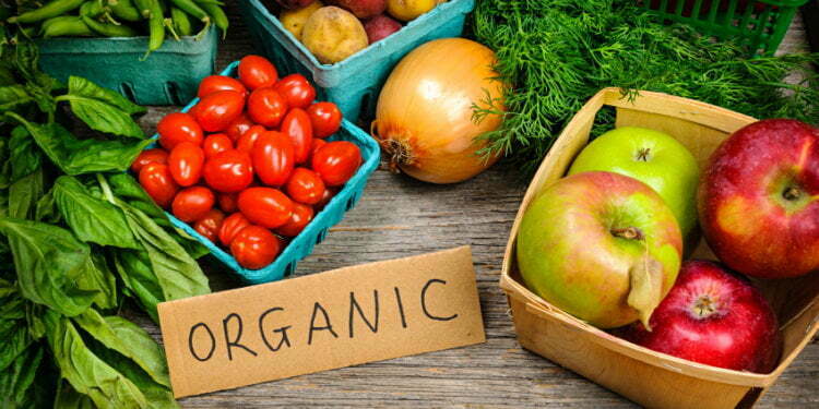 Global Organic Food & Drink Market Trends