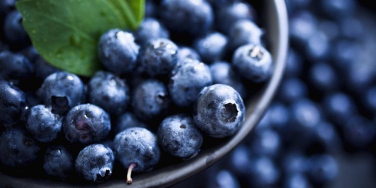 National Blueberry Cheesecake Day