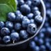 National Blueberry Cheesecake Day