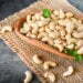 Botanical Roots: Why you need to devour cashew