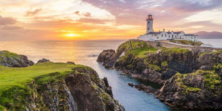 Half of Ireland’s smoothie bars close