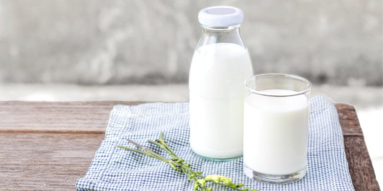 FrieslandCampina Celebrates 2019 World Milk Day