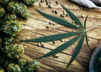 TSA Updates Marijuana Rules To Allow Hemp-Derived CBD On Flights