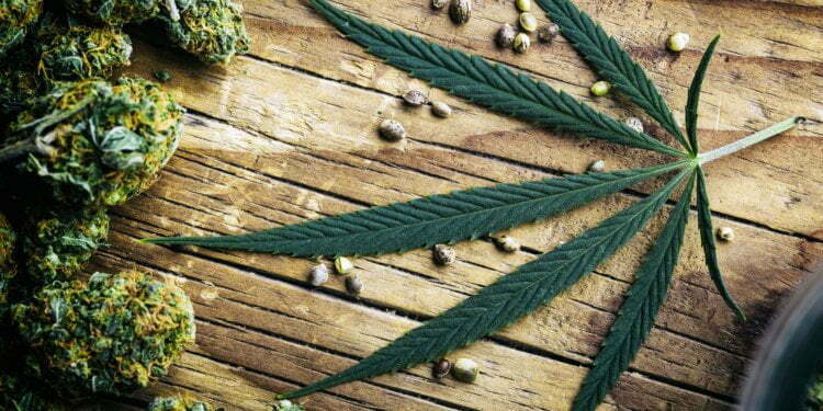 TSA Updates Marijuana Rules To Allow Hemp-Derived CBD On Flights