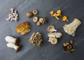 The Mushroom BenefitTM Says “Anyone Can Cook”