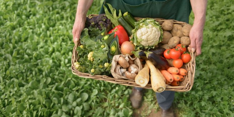 Organic Agronomy Training Series pilot session gives education for agronomists