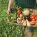Organic Agronomy Training Series pilot session gives education for agronomists