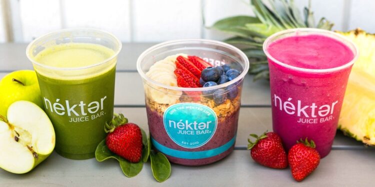 Nectar Juice Bar Review – How Does It Work?